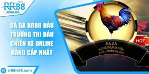 da-ga-rr88-dau-truong-thi-dau-chien-ke-online-dang-cap-nhat